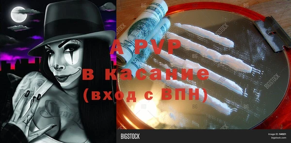 PSILOCYBIN Алексеевка
