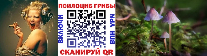 ОМГ ОМГ ТОР  Кяхта  Галлюциногенные грибы Magic Shrooms 